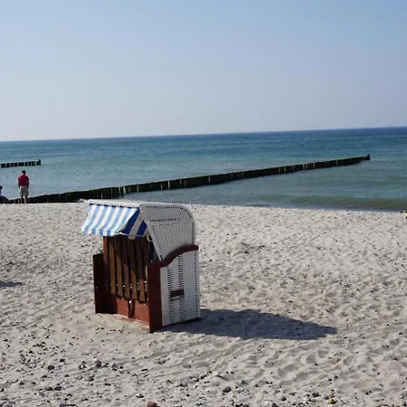 Birkenhof 1 Moewennest